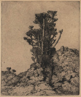 KG 18119
<br/>
Landschap met nosdoorn in Zuid-Afrika
<br/>
<em>Nachenius, Jan Coenraad (1890-1987)</em>